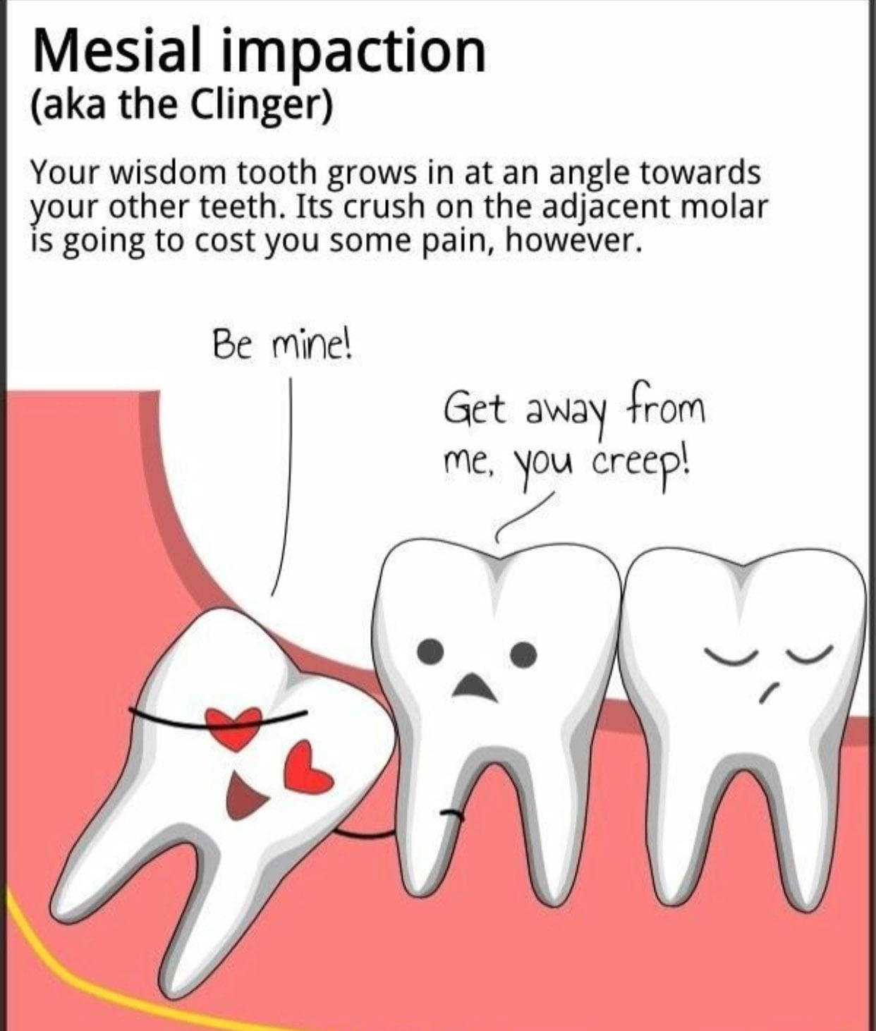 funny wisdom teeth quotes